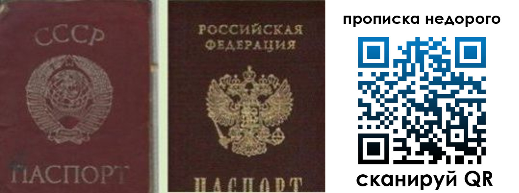временная регистрация поиск в Ельне